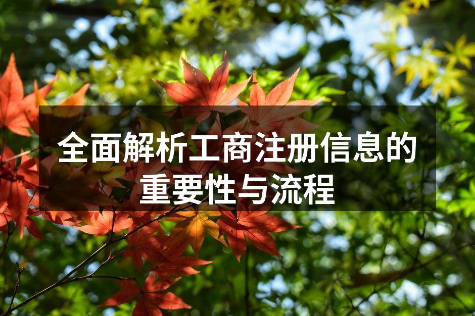 全面解析工商注册信息的重要性与流程