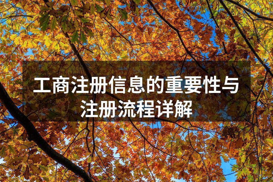 工商注册信息的重要性与注册流程详解