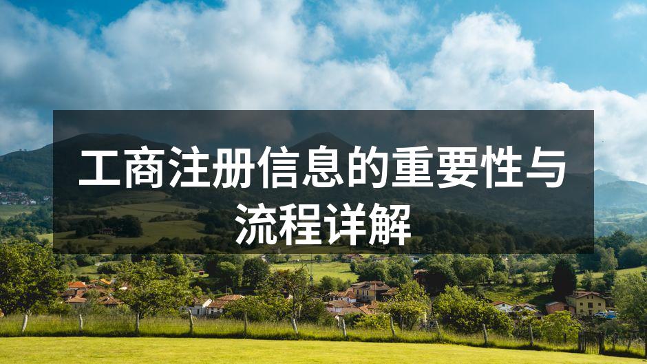 工商注册流程示意图