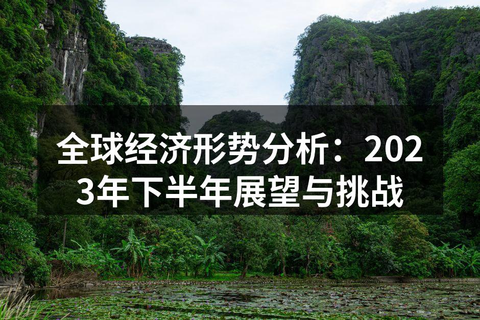 全球经济形势分析：2023年下半年展望与挑战
