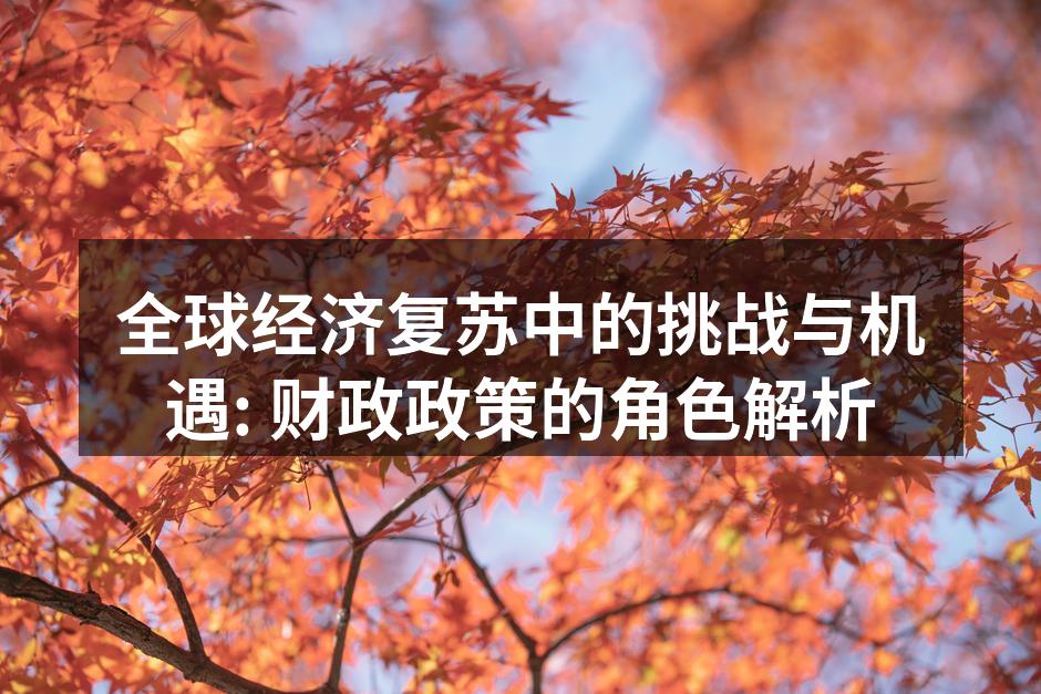 全球经济复苏中的挑战与机遇: 财政政策的角色解析