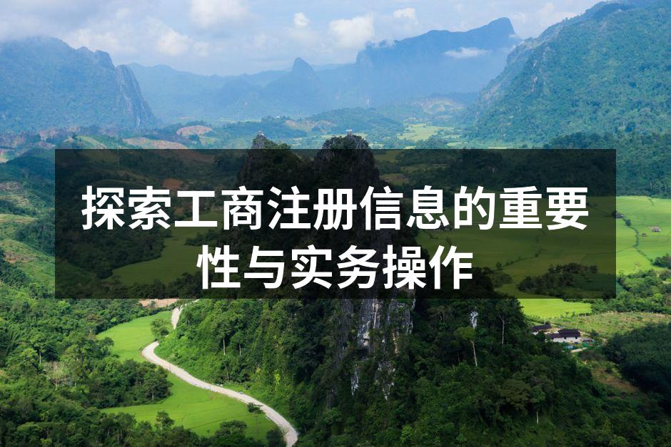 探索工商注册信息的重要性与实务操作