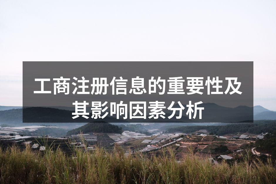 工商注册信息的重要性及其影响因素分析