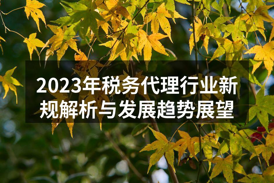 2023年税务代理行业新规解析与发展趋势展望
